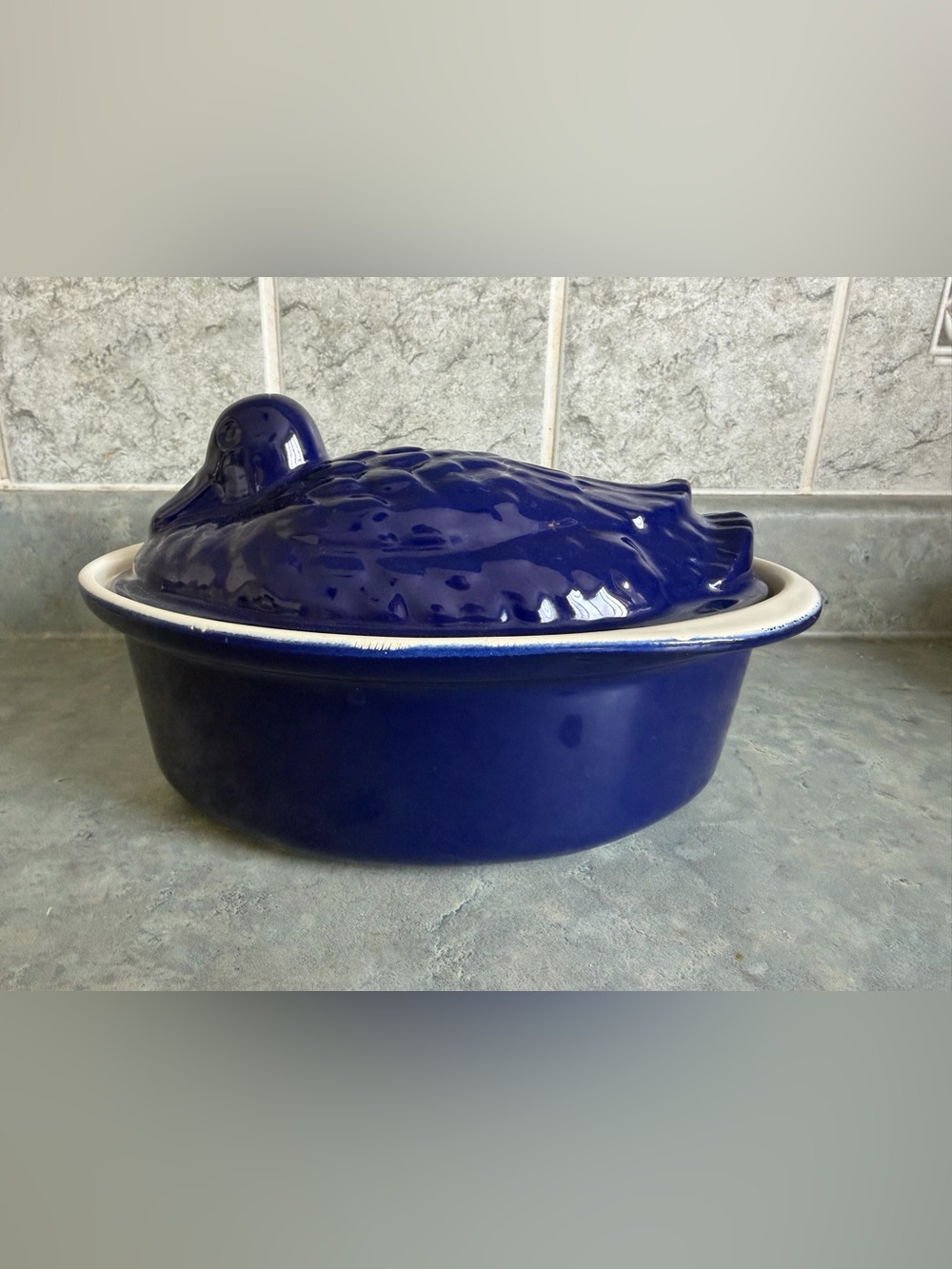 Chausser Duck Shaped Cast Iron Enamelware Blue Baker Dutch Oven Pate Terrine 1QT